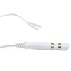 sonde anale petite anatomie